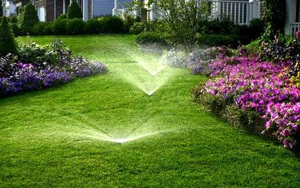 Best Irrigation Options for Drought-Tolerant Landscaping