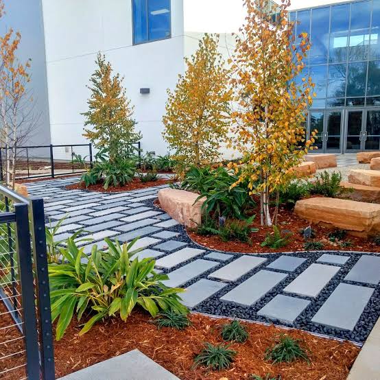Best Mulch for Xeriscaping What to Use and What to Avoid