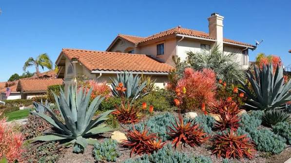 How to Choose the Right Xeriscape Plants for Your Climate Zone