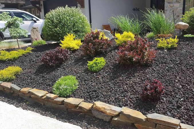 How to Plan a Xeriscape Yard Layout Before You Start