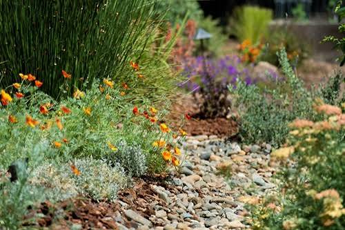 Water-Saving Design and Irrigation — The Complete Guide