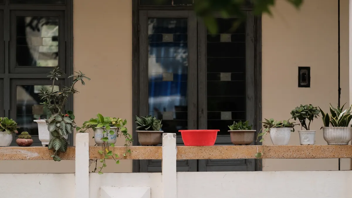 How to Build a Xeriscape Balcony Garden in Full Sun Balcony with assorted potted plants