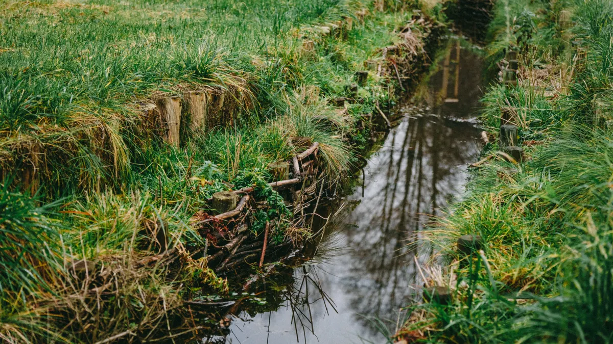 How to Design Dry Creek Beds That Handle Storm Water Narrow grassed ditch holding storm water