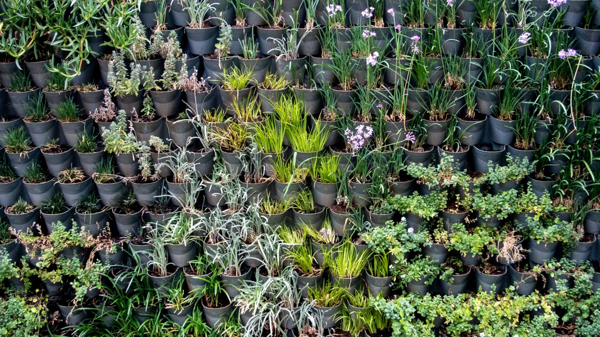 How to Keep Xeriscape Plants Alive on Hot Retaining Walls Vertical wall covered with small potted plants